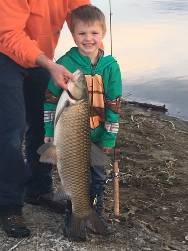 IMG_4940 (600x800).jpg