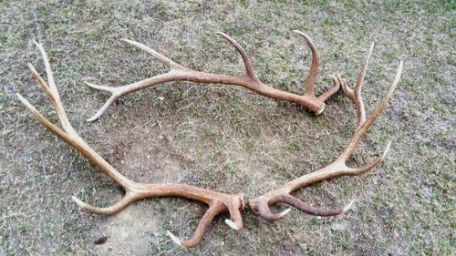 2016-03-16 16.54.05.jpg