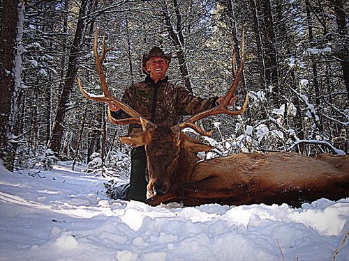 Elk 2006 008.jpg Elk 2006 008.jpg