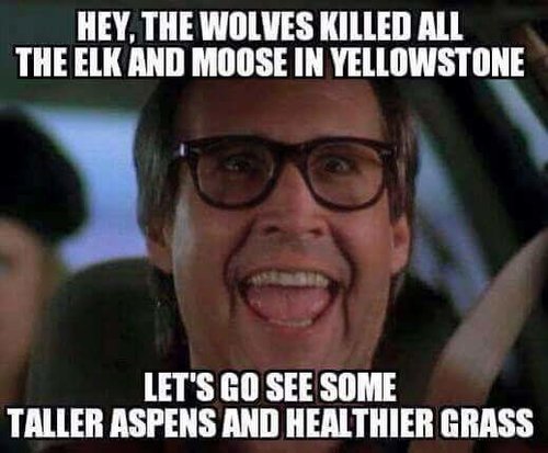 FB_IMG_1459967230284.jpg