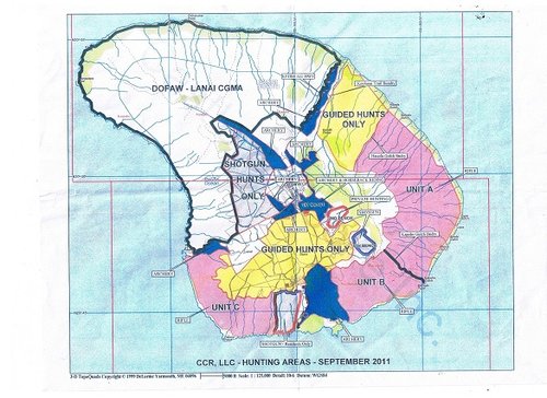 Lanai hunt map.jpg-25%.jpg