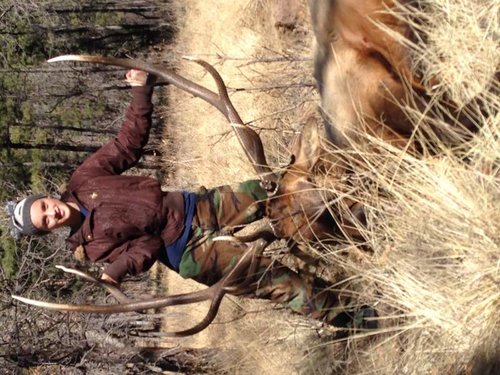 Eryns elk1.jpg Eryns elk1.jpg