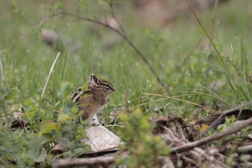 IMG_8194.jpg IMG_8194.jpg