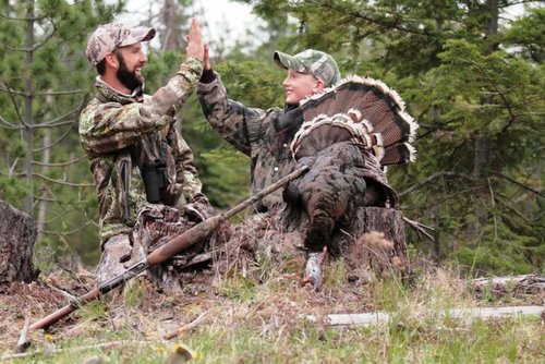 IMG_8229.jpg IMG_8229.jpg