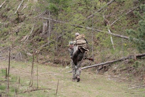 IMG_8253.jpg IMG_8253.jpg