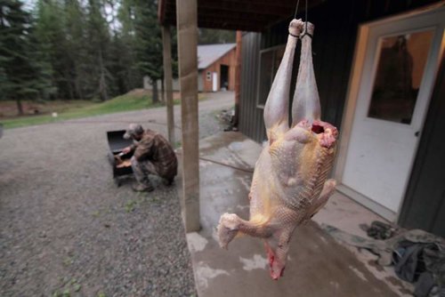 IMG_8273.jpg IMG_8273.jpg