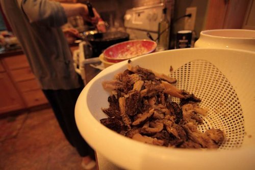 IMG_8279.jpg IMG_8279.jpg