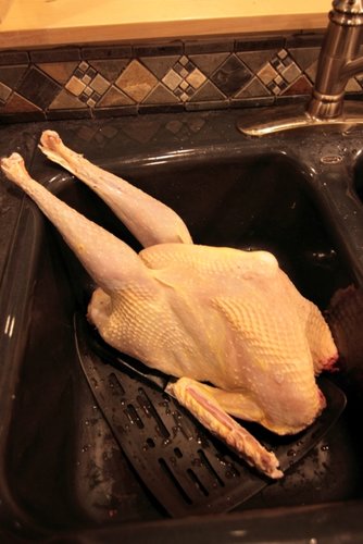 IMG_8290.JPG IMG_8290.JPG