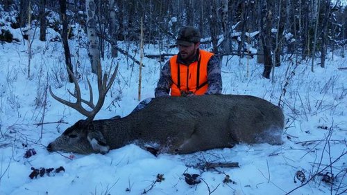 12235087_10205088976291188_3803839957106864023_n.jpg 12235087_10205088976291188_3803839957106864023_n.jpg