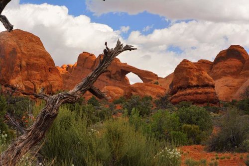 Arches11.jpg