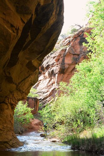 NegroBill5.jpg NegroBill5.jpg