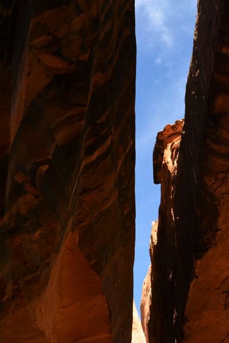 NegroBill7.jpg NegroBill7.jpg