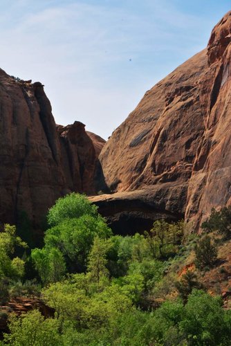 NegroBill8.jpg NegroBill8.jpg