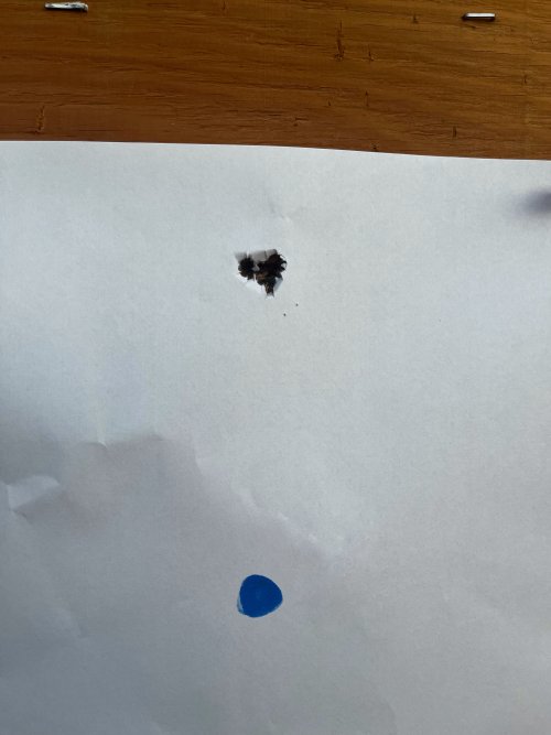 IMG_4419.jpeg IMG_4419.jpeg