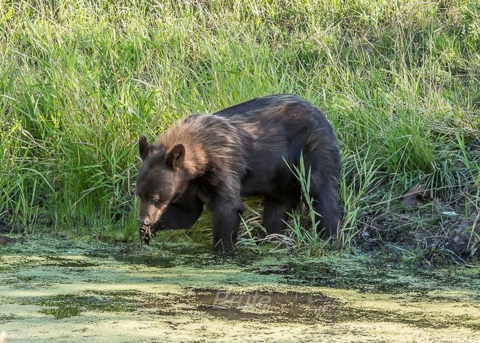 July 2025 a-5273.jpg