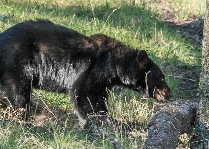 July 2025 a-5280.jpg