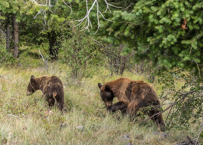 July 2025 a-5319.jpg