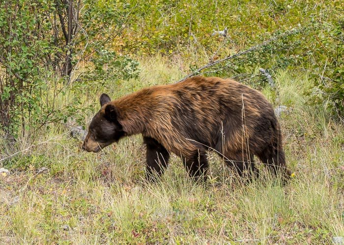 July 2025 a-5329.jpg