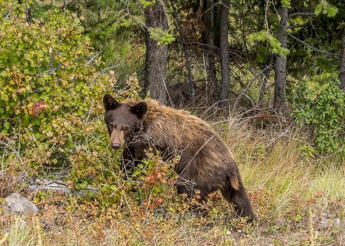 July 2025 a-5326.jpg