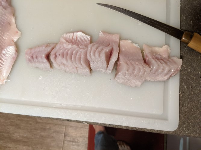 1754307715252.jpeg 1754307715252.jpeg