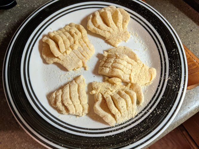 1754307744522.jpeg 1754307744522.jpeg