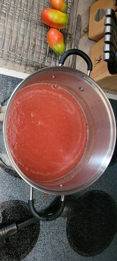 20250804_122155.jpg