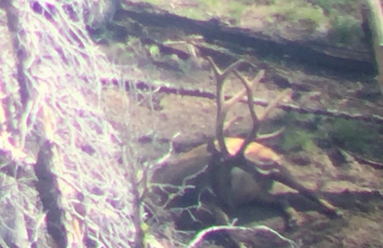 IMG_7407.jpeg IMG_7407.jpeg