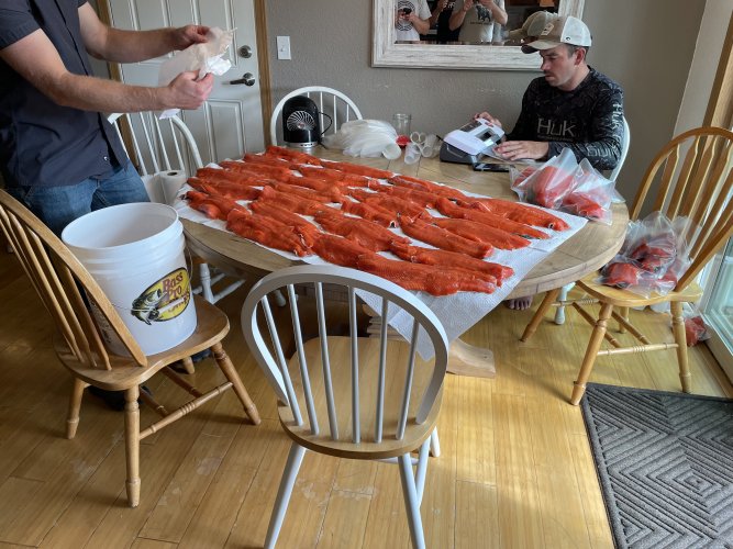 IMG_7833.jpeg IMG_7833.jpeg