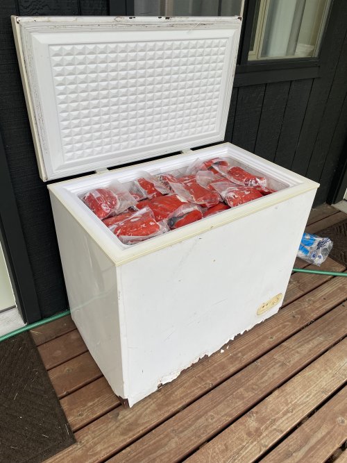 IMG_7879.jpeg IMG_7879.jpeg