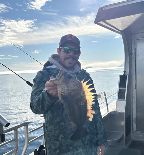 IMG_0354.jpeg IMG_0354.jpeg