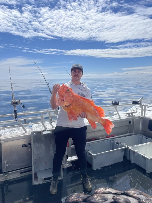 IMG_7928.jpeg IMG_7928.jpeg