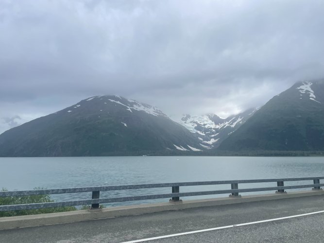 IMG_7954.jpeg IMG_7954.jpeg