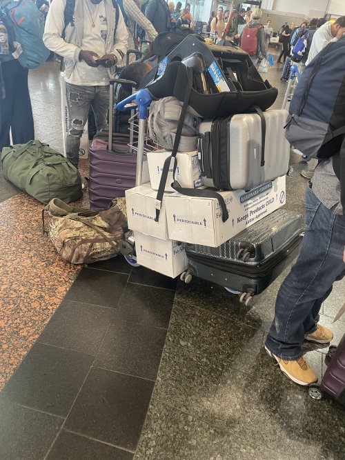 IMG_8031.jpeg IMG_8031.jpeg