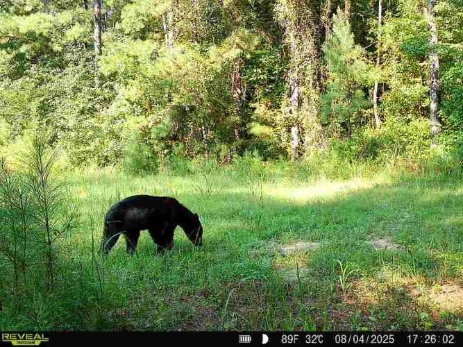 1000012368.jpg 1000012368.jpg