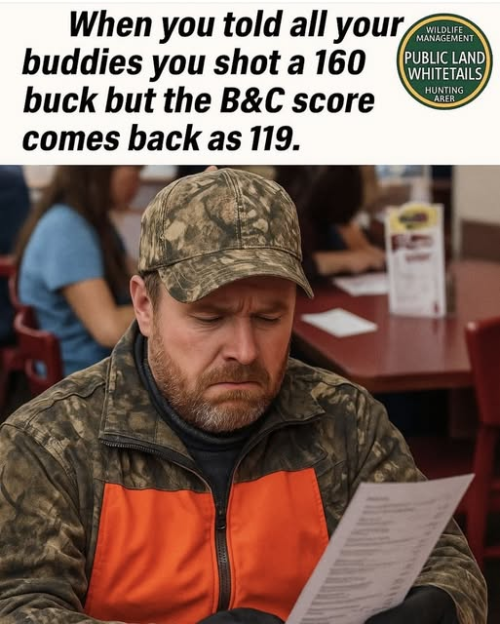 1754433489878.png