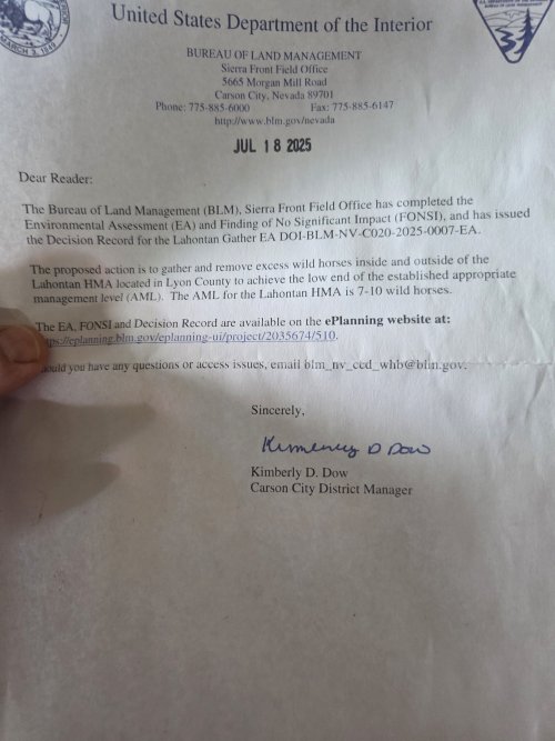 20250729_162120.jpg 20250729_162120.jpg