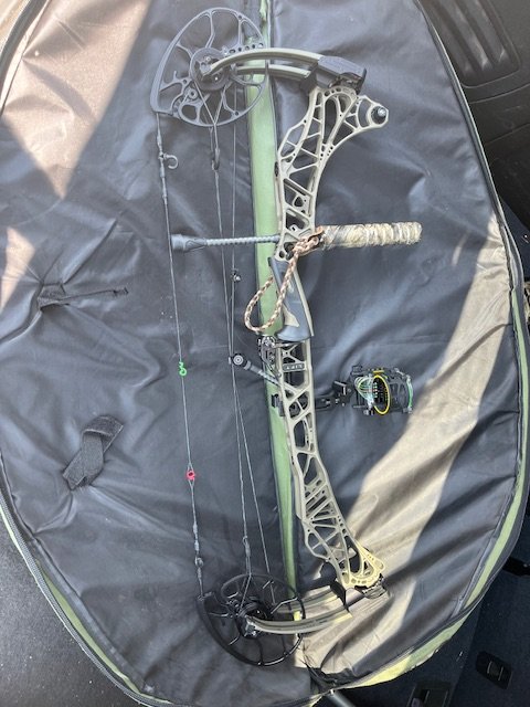 IMG_4225.jpeg IMG_4225.jpeg