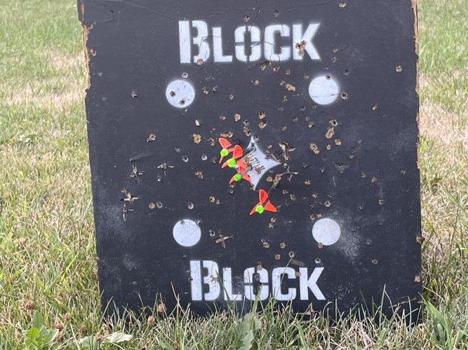 IMG_4231.jpeg IMG_4231.jpeg