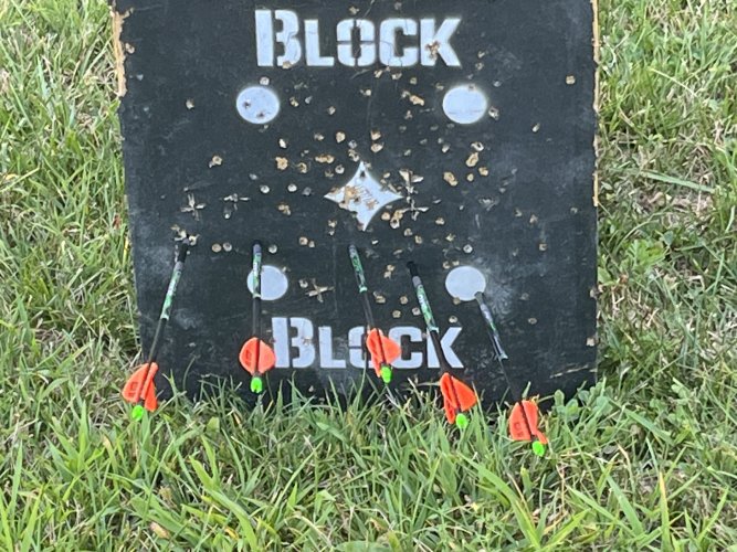 IMG_4232.jpeg IMG_4232.jpeg