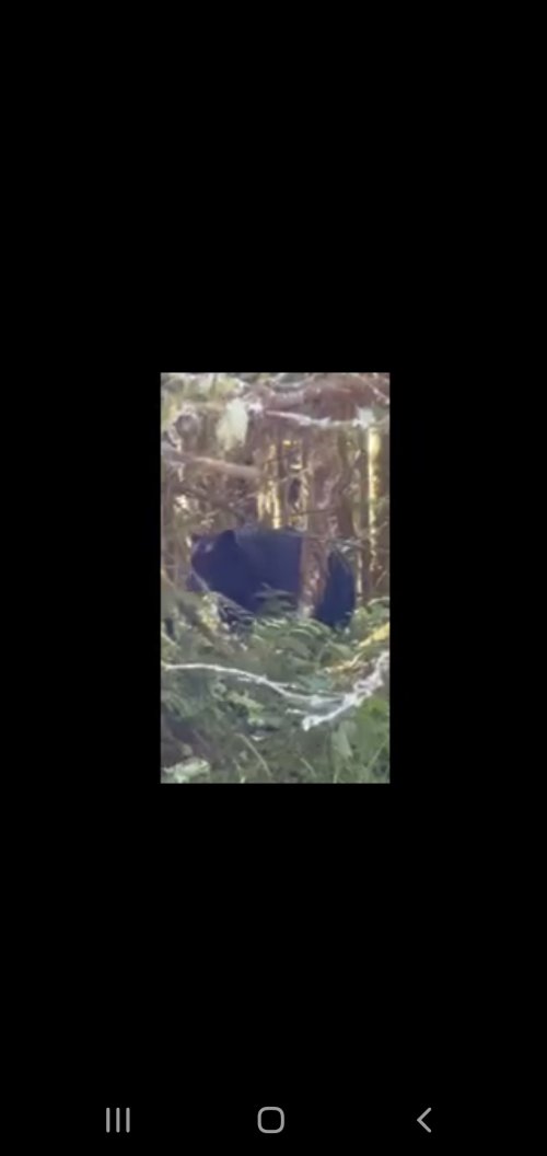 Screenshot_20250807-231427_Video Player.jpg