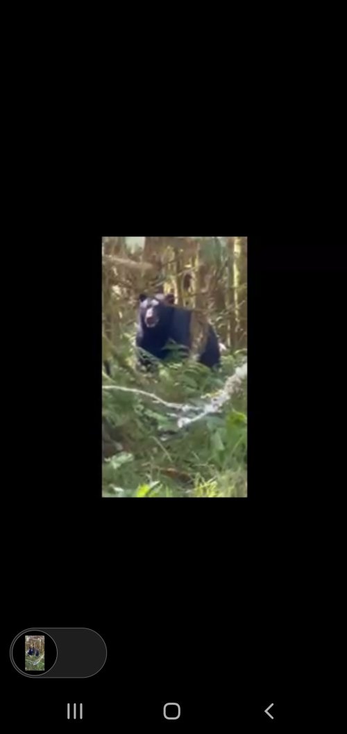 Screenshot_20250807-231421_Video Player.jpg