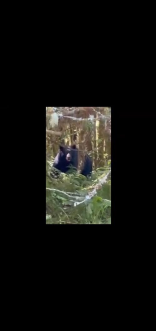 Screenshot_20250807-231416_Video Player.jpg