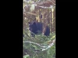VideoCapture_20250807-231348.jpg
