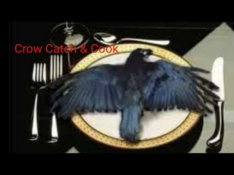 1754684021951.jpeg 1754684021951.jpeg