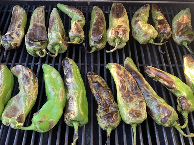 Hatch 2025.jpg Hatch 2025.jpg