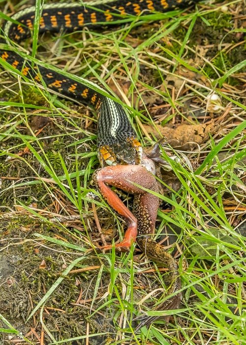 August 2025 a-5372.jpg