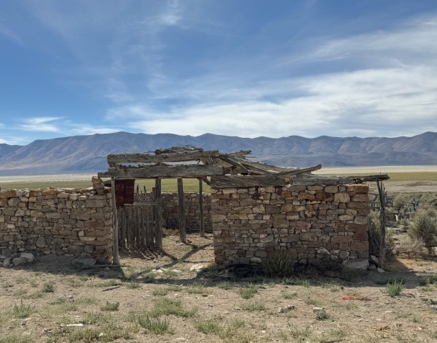 IMG_4538.jpeg IMG_4538.jpeg