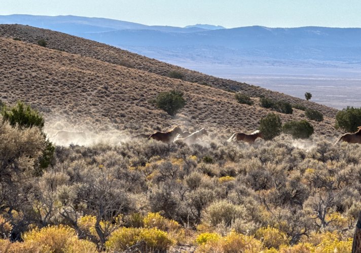 IMG_4537.jpeg IMG_4537.jpeg