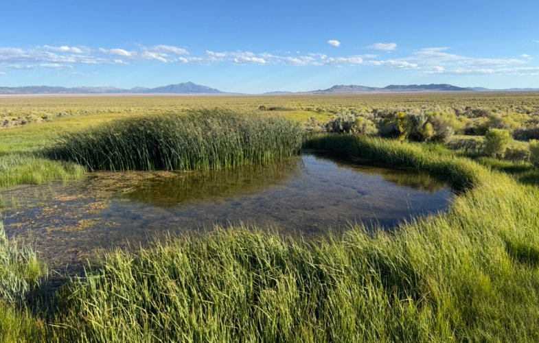 IMG_4536.jpeg IMG_4536.jpeg