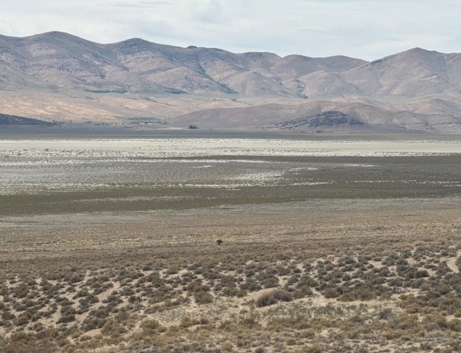 IMG_4540.jpeg IMG_4540.jpeg